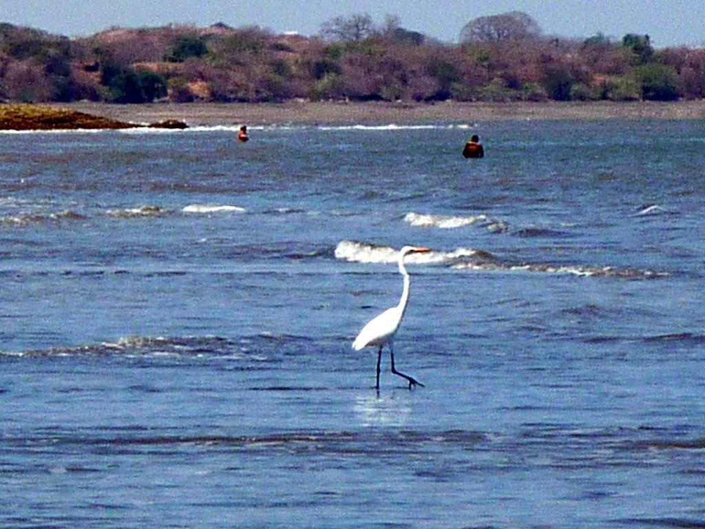 Villa Pelicano Las Tablas Buitenkant foto